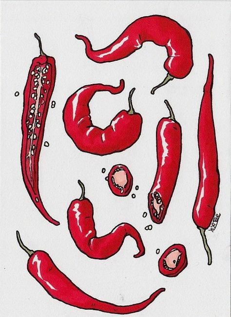 Spice Illustration, Symbols Meaning, Veggie Art, Chili Chili, Posca Art, Art Kitchen, Crafting Paper, Hippie Art, Animation Design