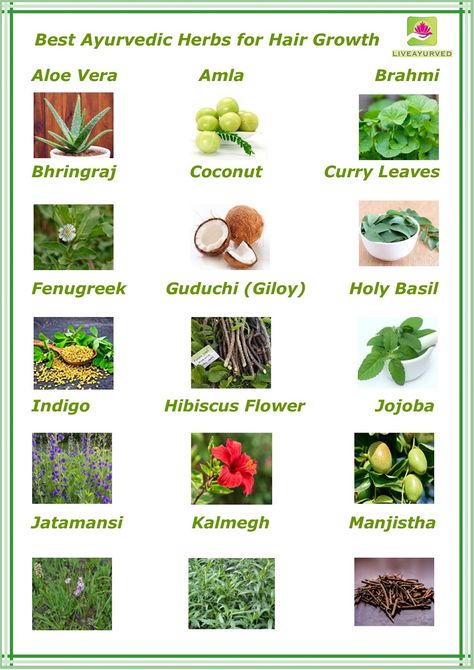 Best ayurvedic herbs for hair growth, #Ayurveda hair growth, #list of ayurvedic herbs for hair growth, #herbs for hair problems Indian Herbs For Health, Ayurvedic Recipes For Hair Growth, Ayurvedic Herbs For Hair Growth, Ayurvedic Recipes For Hair, Ayurvedic Herbs For Hair, Hair Growth Herbs, Hair Manifestation, Herb Witch, Ayurveda Hair Care