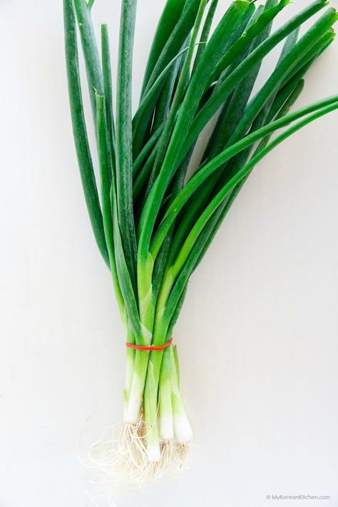 Best way to store green onions. Here you can learn my secrete tips on storing green onions so that they last fresh for a long time! Read on! Store Green Onions, Preserving Produce, Storing Veggies, Freezing Veggies, Soup Carrot, Carrots Roasted, Green Onions Recipes, Roasted Carrot Soup, Vegetable Drawer