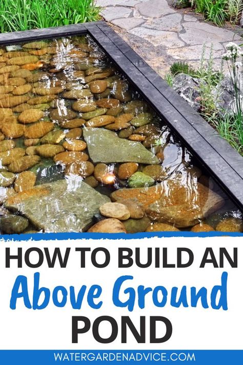 above ground pond Above Ground Pool Fish Pond, Shallow Pond Ideas, Small Above Ground Pond Ideas Diy, Above Ground Fish Pond Ideas, Raised Water Feature, Deck Pond Ideas Patio, Pond Water Features Fountain Ideas, Koi Pond Above Ground, Raised Pond Ideas Diy