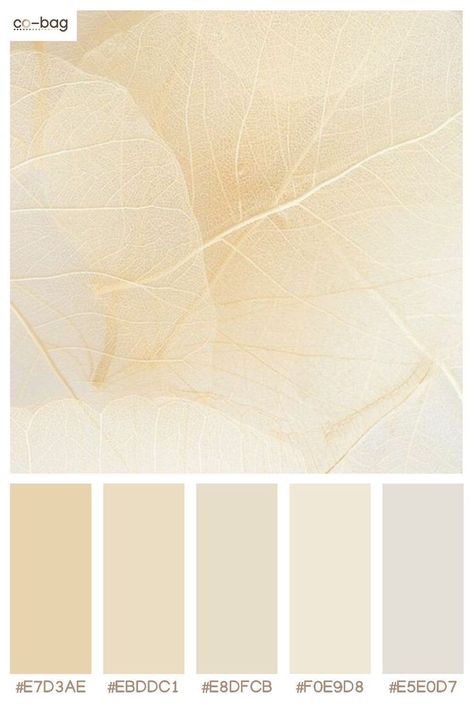 Ivory And Gold Color Palette, Cream Aesthetic Color Palette, White Beige Bedroom Aesthetic, White And Gold Colour Palette, Muted Gold Color Palette, Ivory Color Palette Colour Schemes, Creamy White Color Palette, Cream Color Palette Colour Schemes, Beige And Gold Color Palette