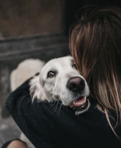 Dog Owner Photoshoot, Dog Family Pictures, Family Dog Photos, Pet Photography Poses, Dog Photoshoot Pet Photography, Dog Photography Poses, Animal Photoshoot, Photos With Dog, Dog Poses