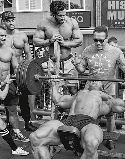 Legacy Strongman Physique, Golden Era Bodybuilding, Physique Men, Calum Von Moger, Arnold Schwarzenegger Bodybuilding, Schwarzenegger Bodybuilding, Muscle Beach, Gym Art, Goals Motivation