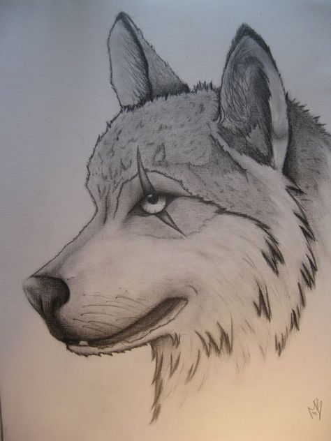 So cool!! Cool Wolf Drawings, Wolf Head Drawing, Cool Pictures To Draw, Wolf Drawing Easy, Hard Drawings, Cool Easy Drawings, Wolf Sketch, Random Sketches, Cool Drawing