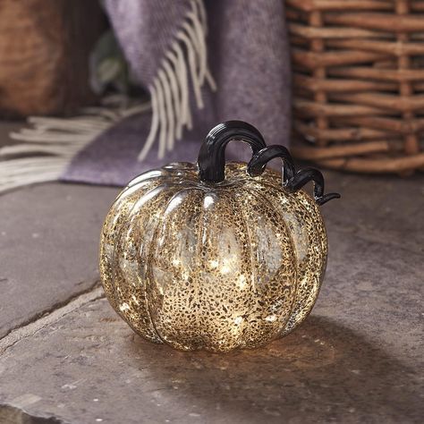 6.5" Black Mercury Glass Pumpkin Battery Operated LED Fall Thanksgiving Halloween Light up Lighted Decoration Mercury Black, Traditional Color Palette, Autumn And Halloween, Up Pumpkin, Light Up Pumpkins, Black Pumpkin, Pumpkin Candles, Halloween Photoshoot, Glass Pumpkins