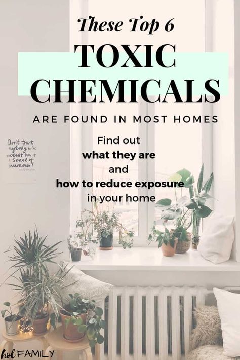 Toxic Home Environment Quotes, Cleaning Body Of Toxins, Low Toxin Living, Toxic Chemicals In The Home, How To Live Toxin Free, Calm Anger, Detox Your Home, Reverse Osmosis Water, Lifestyle Motivation