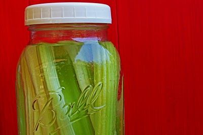 Summertime Celery Water  1 bunch celery pinch sea salt lemon juice sweetener of choice (optional) Celery Water, Boil Lemons, Salad Dinner, Liquid Eggs, Pickle Jar, Live Alone, Dinner Salad, Pickle Jars, Ice Cube Trays