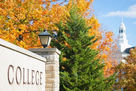 How a Leading Christian College Turned Against Its Gay Leader Wheaton College, Liberal Arts College, Christian College, Change Of Heart, Christian School, Liberal Arts, The Covenant, College Art, Social Justice