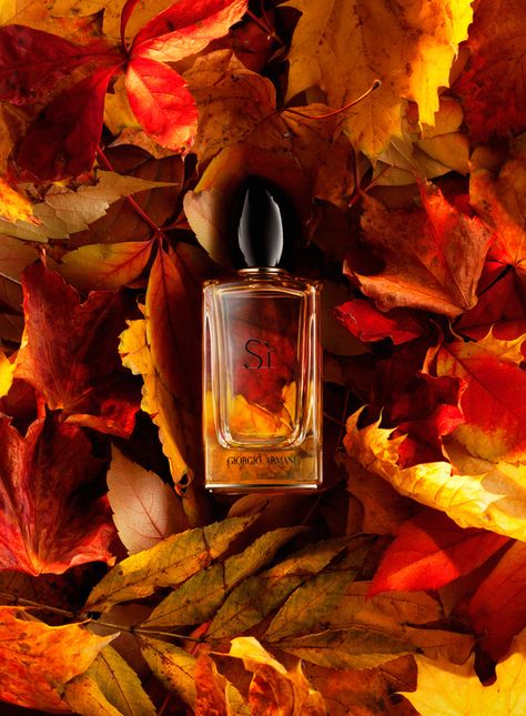 Autumn Halloween Candle Photography, Autumn Perfume Photography, Halloween Product Photography Styling, Halloween Product Shoot, Halloween Product Photoshoot, Autumn Advertising, Autumn Perfume, Halloween Shoot, Creative Advertising Photography