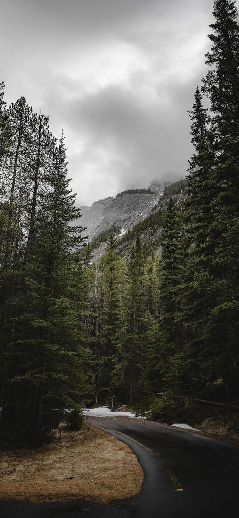 Aesthetic Creative Wallpaper, Background Mountain Nature, Scenery Wallpaper Nature Landscapes, Nature Aesthetic Mountains, Natural Wallpaper Iphone, Dark Wallpaper Nature, Iphone Wallpaper Aesthetic Nature, Iphone Dark Wallpaper Aesthetic, Forest Aesthetic Landscape