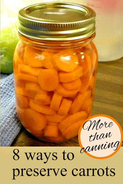 Preserve Carrots, Preserving Carrots, Can Carrots, Canning Carrots, Canned Carrots, Easy Canning, Pressure Canning Recipes, Canning 101, Canning Pickles