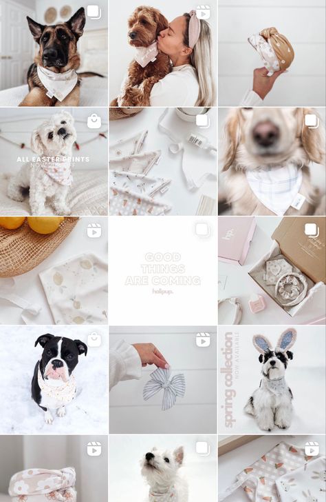 Light pastel aesthetic Instagram feed Dog Instagram Photo Ideas, Dog Business Aesthetic, Dog Bandana Photography, Dog Instagram Aesthetic, Pet Small Business, Dog Instagram Feed, Dog Grooming Instagram, Dog Walker Aesthetic, Dog Owner Aesthetic