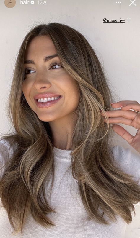 Straight Money Piece Hair, Honey Blonde Balayage Curtain Bangs, Level 6 Natural Hair Color, Blended Light Brown Hair, Brunette Hair Inspiration 2023, Minimalist Hair Color, Green Eyes Dark Brown Hair, Transition To Brunette From Blonde, Cool Low Lights For Brown Hair