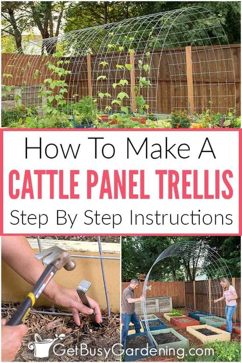 Creating a DIY garden trellis tunnel is a fun and functional project to create more vertical growing space that also becomes a statement piece that adds beauty. In this detailed guide on how to build a cattle panel trellis arch in the garden, I’ve shared everything you’ll need to assemble the supplies and tools for making a DIY tunnel trellis. Then simply follow my easy step by step instructions to construct this surprisingly easy DIY livestock fence trellis and get it installed in your space. Trellis For Garden Bed, How To Build A Vertical Garden, Diy Arch Garden Trellis, Climbing Vegetables Trellis, Cattle Panel Fence Garden, Garden With Trellis Arch, Vegetable Tunnel Ideas, Plants That Need Trellis, Squash Arch Diy