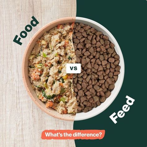 The Farmer's Dog on Instagram: "The difference is much more than just a couple of vowels — it’s about the health of your dog. While food is made to strict safety and quality standards, feed is not. Feed can be made with unsafe ingredients, and in ways, and places, that don't meet basic safety standards. How can you tell the difference? It’s surprisingly simple: Food looks like, smells like, tastes like, and is food. What does feed look like? Yep, you guessed it—little, mysterious, brown pellets. Animal Photoshoot, Dog Food Brands, Food Branding, Food Content, Simple Food, Instagram Food, Dog Food, How Can, Dog Food Recipes