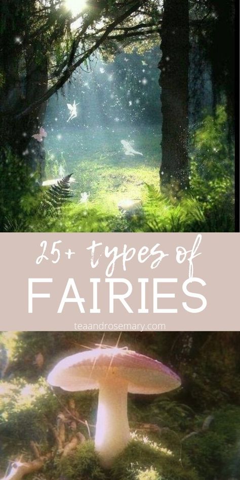 25+ different types of fae and fairy. If you want to learn about the different types of fairies, fairy, faeries, faery, and fae folk, then check these types out. Different Kinds Of Fairies, Witches And Fairies, Different Fairy Types, Black Fairy Aesthetic Art, Fae Symbols, Types Of Fae Creatures, Types Of Fairies List, Fairy Language, Fairy Offerings