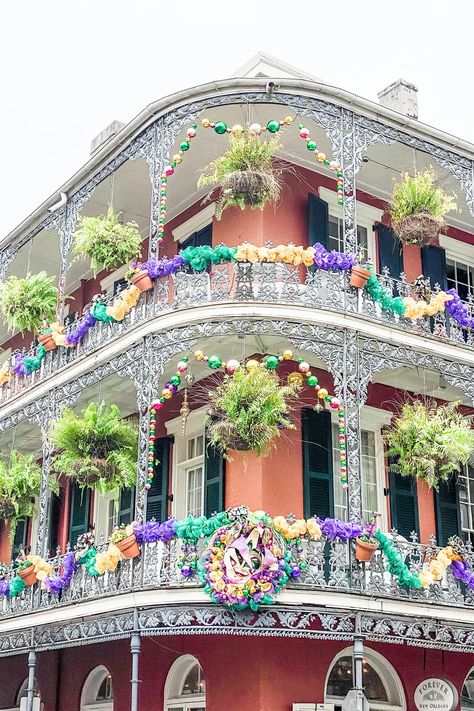 Mardi Gras Astetic, Mardi Gras In New Orleans, Mardi Gras Photography, Mardi Gras Louisiana, New Orleans Mardi Gras Aesthetic, Mardi Gras Aesthetic, Marti Gra, Mardi Gras Photos, Mardi Grad