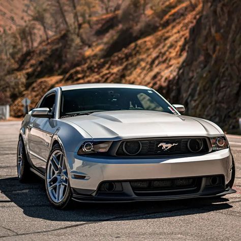 The perfect car to cruise the world through Fort Mustang, Mustang Gtr, 67 Ford Mustang, 2014 Mustang, 2010 Mustang, Ford Mustang Convertible, Ford Mustang Car, Mustang Convertible, Ford Mustang Shelby