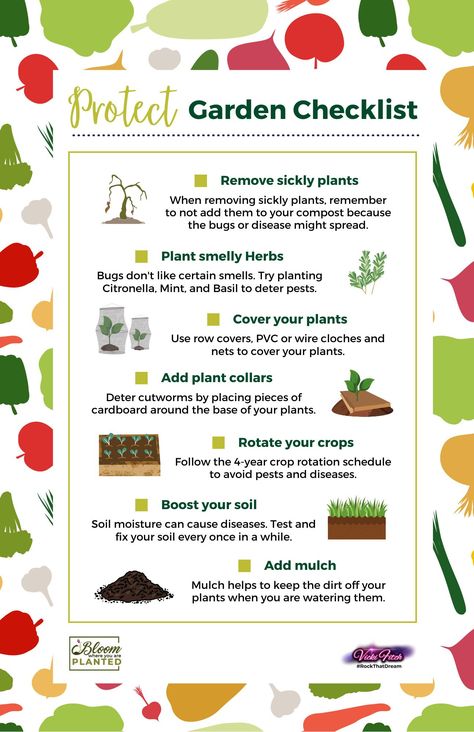 Most if not all gardeners deal with pests, bugs, critters, and disease. So to help you protect your #Garden and avoid these unwanted visitors, we made a #Checklist just for you. You can download it as a graphic and post it on social media with your own logo or print it out and add it to your #BloomWhereYouArePlantedPlatingJournal. Check out this Pinterest board for more checklists like this one and other pages you can add to your planting journal. Nature, Permaculture, Garden Checklist, Greenhouse Farming, Bio Design, Row Covers, Vegetable Garden Diy, Pest Management, Bloom Where You Are Planted