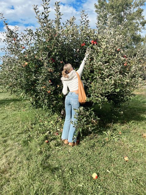 Pumpkin Picking Pictures, Jeans Baggy Outfit, Apple Picking Pictures, Apple Orchard Pictures, Apple Picking Photos, Fall Apple Picking, October Pictures, Pumpkin Patch Photoshoot, Apple Picking Outfit