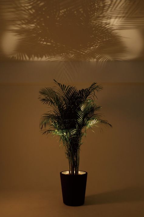 Artificial Plants With Lights, Indoor Plant With Lights, Indoor Garden Lighting, Plant Spotlight Indoor, Planter Lights Flower Pots, Plants Lighting Indoor, Indoor Plant Uplighting, Plant Lighting Indoor, Plant And Lamp In Corner