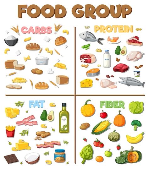 Montessori, Protein Carbohydrate Fats Chart, Food Pictures Cartoon, Go Foods Chart, Carbohydrates Food Pictures, Healthy Food Chart For Kids Project, Protein Drawing, Healthy Food Cartoon, Food Groups Chart