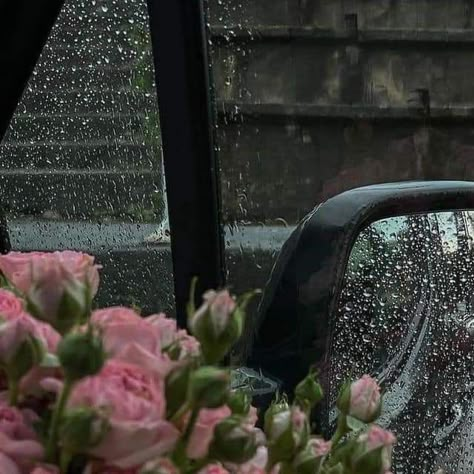 Window Flowers, Weather Photography, Rainy Window, Paris Mood, Blur Photography, Istanbul City, Instagram Flowers, Foggy Forest, Nothing But Flowers