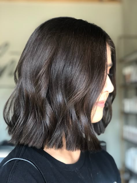 Lob Haircut Brown Hair, Celebrity Bob Haircut, Black Brown Short Hair, Short Hair Above Shoulder Straight, Above Shoulders Bob, Dark Hair Short Cuts, Ann Hathaway Hair Color, Shoulder Length Chocolate Brown Hair, Shoulder Length Dark Hair