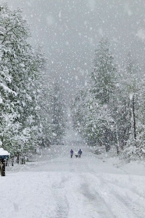 Finding Neverland Winters Tafereel, Matka Natura, Snow Falling, Winter Schnee, Winter's Tale, Winter Love, Winter Magic, Winter Scenery, Snow Scenes