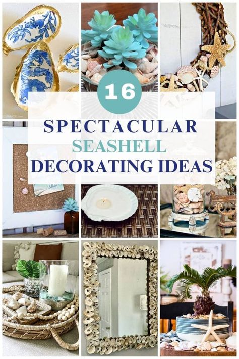 collage with 9 diy seashell ideas Decorating With Seashells, Scallop Shell Craft, Seashell Shadow Boxes, Seashell Centerpieces, Diy Coastal Decor, Sea Shells Diy, Diy Beach Decor, Seashell Projects, Shells Diy