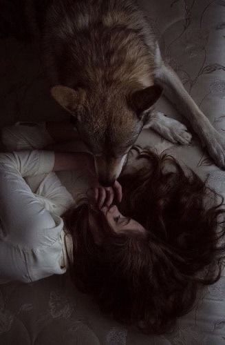 Werewolf Love Aesthetic, Wolves Aesthetic, The Never King, Never King, Wolf And Girl, Wolf Aesthetic, Werewolf Stories, Werewolf Aesthetic, Wolf Love