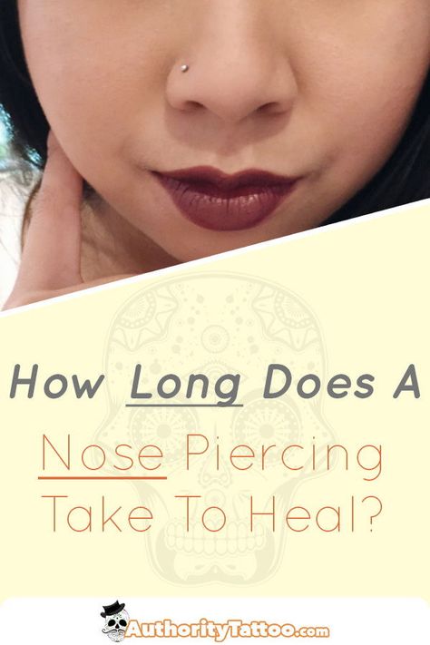 New Nose Piercing Care, Hidden Nose Piercing, Best Nose Rings, How To Take Care Of A Nose Piercing, Types Of Septum Piercings, Nose Peirce Chart, Nose Piercing Healing Stages, Nose Piercing Ideas Studs, Nose Ring Placement Chart