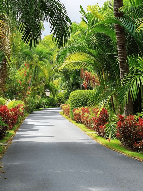 Garden Entrance Ideas, Beautiful Gardens Landscape, Large Backyard Landscaping, Flower Road, Garden Hedges, Tropical Garden Design, Beautiful Home Gardens, Front Garden Landscape, Photoshop Backgrounds Backdrops