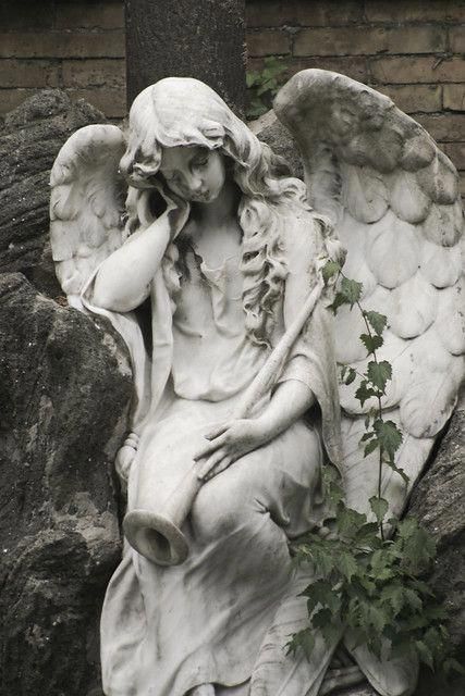 Cemetery Statues, Statue Tattoo, Classic Sculpture, Greek Statues, Angel Statue, Angel Sculpture, Cemetery Art, Greek Sculpture, Angels Among Us