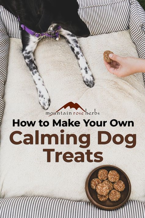 DIY Herbal Dog Treat Recipe Calming Dog Treats, Diy Dog Treats Healthy, Peanut Butter Banana Dog Treats, Calming Treats For Dogs, Banana Dog Treats, Pup Treats, Homemade Pet Treats, Pet Treats Recipes, Dog Treats Homemade Easy