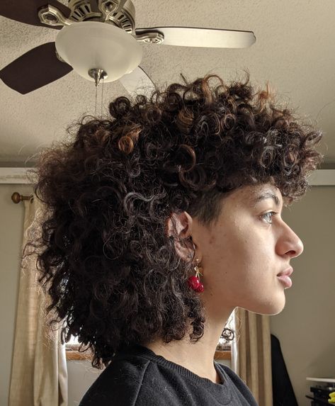 Naturally curly 3b/3c hair in mullet hairstyle (@/alexia.svg on Instagram) 3b Mullet Hair, Mullet Black Women Curly, Mullet On Natural Hair, 4b Mullet, 3b Curly Hair Mullet, Mullet Natural Hair, 3b Curly Mullet, Curly Hair Mullet Black Women, Mullet 4c Hair