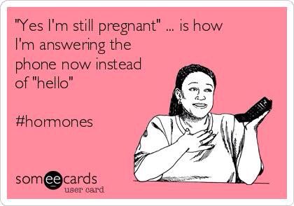 Yes I'm still pregnant 40 Weeks Pregnant Quotes, 40 Weeks Pregnant Humor, Still Pregnant Humor, Pregnant Humor, Overdue Pregnancy, Big Sister Kit, Pregnant Funny, Pregnancy Quotes Funny, Funny Pregnancy Memes