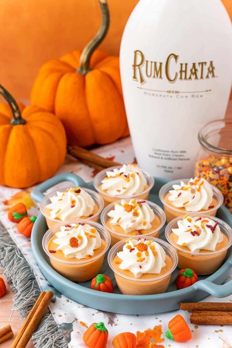 Rumchata Pumpkin Pie Pudding Shots, Pumpkin Pie Shots Rumchata, Pudding Shots Pumpkin, Thanksgiving Jello Shots Recipes, Fun Pudding Shots, Easy Fall Jello Shots, Pumpkin Shots Pudding, Pumpkin Pie Jello Shots Recipes, Pumpkin Pie Pudding Shots Recipe