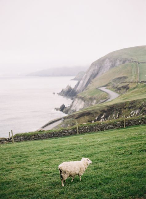 Weaver Ireland Film-100 Ireland Film Photography, Ireland On Film, Ireland Nature Aesthetic, Scotland Film Photography, Irish Seaside, Folk Aesthetic, 2024 Manifesting, Nature 4k, Ireland Aesthetic