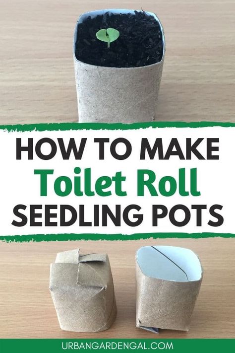 Toilet roll pots are a fun garden project for kids. Here's how to upcycle toilet rolls into seedling pots. #pots #planters #upcycled Toilet Roll Plant Pot, Toilet Paper Roll For Seedlings, Toilet Roll Planters, Starting Seeds In Toilet Paper Rolls, Toilet Paper Roll Planters, Paper Seedling Pots, Toilet Paper Roll Planter Seed Starting, Planting Seeds In Toilet Paper Rolls, Diy Seedling Pots