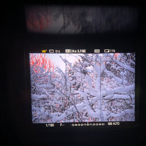 Winter Digital Camera, Snow Film, Camera Aesthetic, Fever Dream, Photography Winter, Aesthetic Winter, Winter Photo, Winter Photos, Photo Op