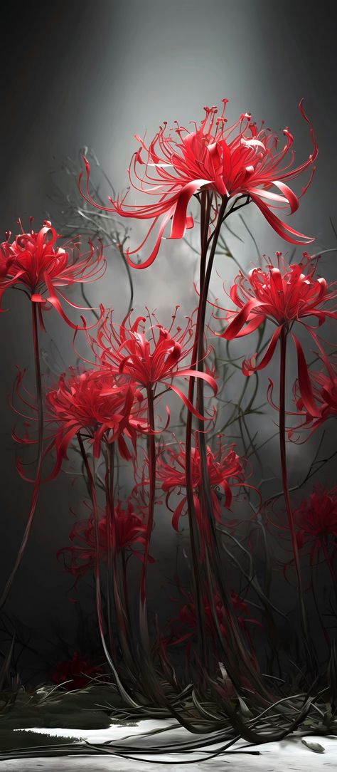 Spider Lily, Art Street, Red Flowers, Lily, Comics, Music, Flowers, Red, Art