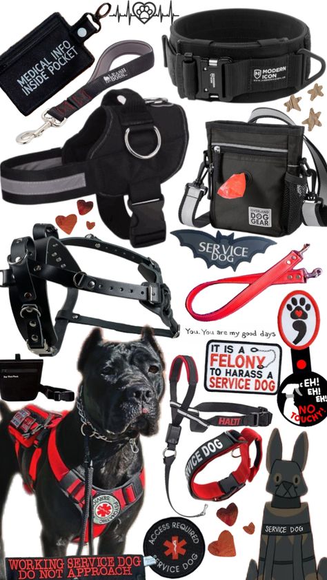 Service dog gear #servicedog#servicedogs#servicedoggear#dog#dogs#doggear#zzz Service Dog Gear, Service Dog Patches, Dog Training School, Service Dogs Gear, Cat Kennel, Service Dog Training, Service Dog Vests, Dog Business, Emotional Support Dog