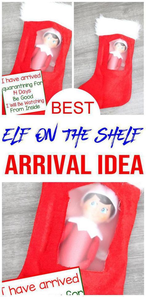 BEST Elf on the Shelf idea! Super fun arrival idea for your Elf. No need to move your Elf for 14 days. Welcome back your Elf on the Shelf w/ this creative DIY idea. Cheap budget friendly Elf on the Shelf DIY craft project. Arrival Elf on the Shelf idea for Christmas. Kids will go crazy for this idea. Have your Elf give gifts each day will remaining inside. For more fun #christmas ideas see KimspiredDIY #elfontheshelf Diy Elf Carrier, Diy Elf On The Shelf Clothes, Arrival Elf On The Shelf, Elf On The Shelf Diy, Fun Christmas Ideas, Stocking Diy, Elf On The Shelf Arrival, Elf On The Shelf Idea, 2023 Ideas