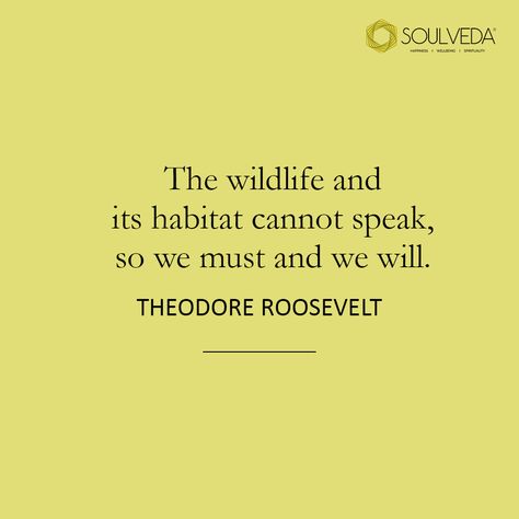 Just like us humans, wildlife is a part of nature too, and treating all animals with dignity, love and care should be an essential part of human nature. #soulveda #WorldWildlifeDay #wildlife #quotes #naturequotes Wildlife Quotes Animals, Zoology Quotes, Wild Animal Quotes, Animal Quotes Meaningful, Quotes About Animals, Animal Science Major, Wildlife Quotes, Conflict Quotes, Quotes By Famous Personalities