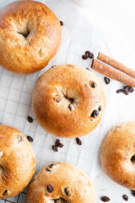 Aerial view of homemade cinnamon raisin bagels spread on the counter. Best Bagel Recipe, Bagels Recipe Homemade, Cinnamon Bagel, Cinnamon Raisin Bagels, Types Of Bagels, Raisin Bagels, Cinnamon Bagels, Bagel Spread, Cinnamon Raisin Bagel