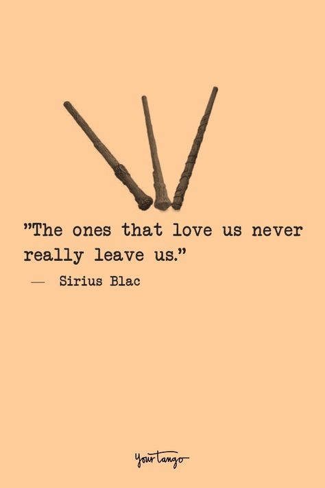 harry potter quotes, harry potter fans make better friends Quotes From Books And Movies, Better Together Quotes, Harry Potter Quotes Aesthetic, Short Harry Potter Quotes, Good Book Quotes, Cute Book Quotes, Best Harry Potter Quotes, Quotes From Harry Potter, Best Quotes For Life