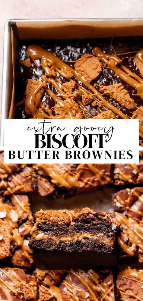 These fudgy Biscoff brownies are packed with Biscoff flavor! Made with my favorite fudgy chocolate brownie base, a layer of gooey cookie butter, and Biscoff cookies on top. You only need 12 ingredients to make these cookie butter brownies! Biscoff Cheesecake Brownies, Biscoff Cookie Cupcakes, Cookie Dessert Ideas, Biscoff Millionaire Bars, Caramel Brownie Bites, Biscoff Cookies Desserts, Best Ever Cookies Recipes, Cookie Butter Snacks, Ghiradelli Brownie Recipes