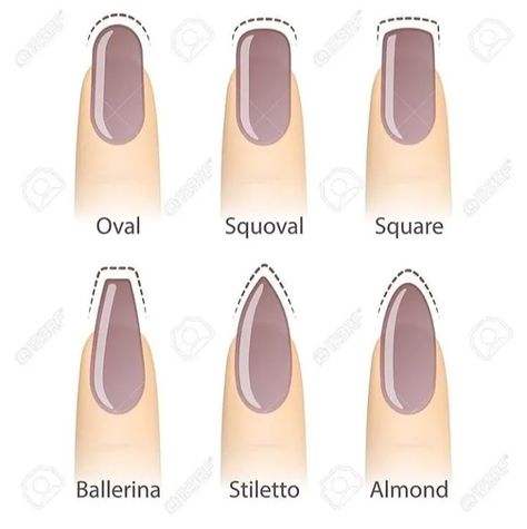 Best Nail Shape, Popular Nail Shapes, Round Shaped Nails, Square Oval Nails, Ballerina Nails Shape, Natural Looking Nails, Long Square Nails, Acrylic Nail Shapes, Squoval Nails