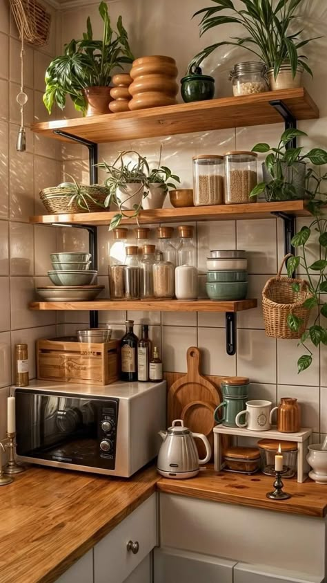 Apartment Kitchen Colorful, Kitchen Decor Earthy, Shed Kitchen Ideas, Plants In Kitchen, Plants In The Kitchen, Cozy Kitchen Ideas, Kabinet Dapur, Boho Kitchen, Cozy Kitchen